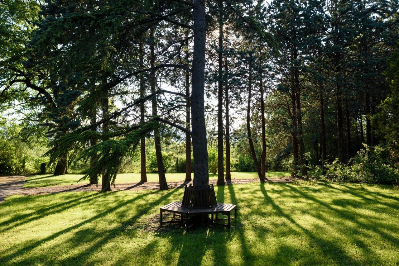 Agriturismo Villa Alari Cetona Εξωτερικό φωτογραφία